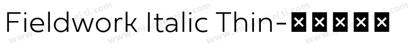 Fieldwork Italic Thin字体转换